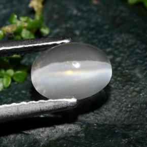 Sillimanite Cat's Eye Gemstone in 7.5 x 5.7 mm Size for Sale, Sillimanite Cat's Eye Stone in Smoke Color