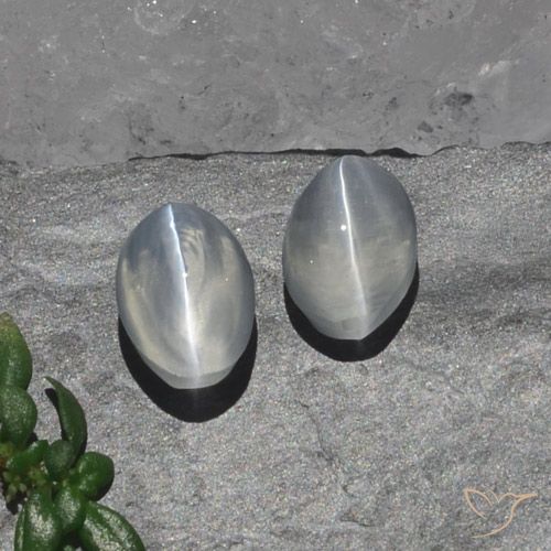 2.15 ct Oval Sillimanite Cat's Eye, 6.6 x 4.6 mm From Madagascar, Photo A