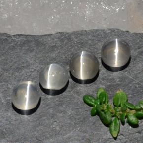 1ct Oval Cabochon Smoke Sillimanite Cat's Eye Gem for sale 1ct Oval Cabochon Smoke Sillimanite Cat's Eye Gem (ID: 475157)