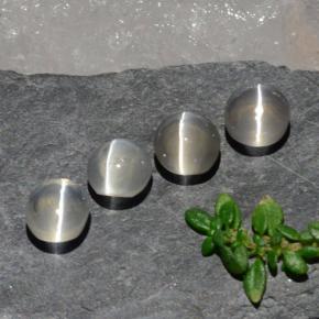 Sillimanite Cat's Eye Gemstones in 5.7 x 5.1 mm Size for Sale, Sillimanite Cat's Eye Stones in Clear White Color
