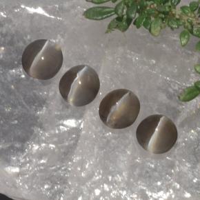 1ct Round Cabochon Smoke Sillimanite Cat's Eye Gem for sale 1ct Round Cabochon Smoke Sillimanite Cat's Eye Gem (ID: 475158)