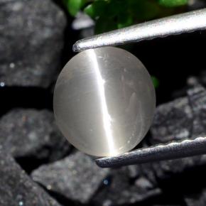 Very Light Grey Sillimanite Cat's Eye Gem - 1.3ct Round Cabochon (ID: 475314)