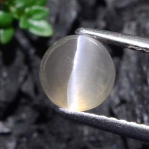 1.74 ct Gray Sillimanite Cat's Eye Gemstone, Sillimanite Cat's Eye Gem in Round Cabochon Shape for Sale.