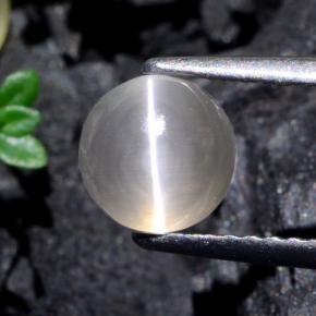 1.74 ct Gray Sillimanite Cat's Eye Stone, Natural Sillimanite Cat's Eye in Round Cabochon Shape for Sale
