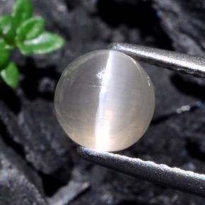 Sillimanite Cat's Eye Gemstone in 6.5 mm (calibrated) Size for Sale, Sillimanite Cat's Eye Stone in Very Light Grey Color