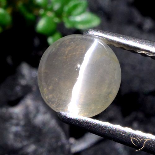 1.53ct Natural Warm White Sillimanite Cat's Eye, Round, Translucent