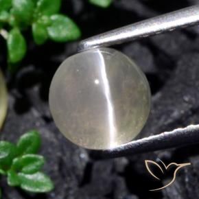 1.53 ct White Sillimanite Cat's Eye Stone, Natural Sillimanite Cat's Eye in Round Cabochon Shape for Sale