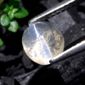 Sillimanite Cat's Eye Gemstone in 6.7 x 6.2 mm Size for Sale, Sillimanite Cat's Eye Stone in Clear Color