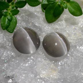 Sillimanite Cat's Eye Gemstones in 6.2 x 6.1 mm Size for Sale, Sillimanite Cat's Eye Stones in Very Light Grey Color