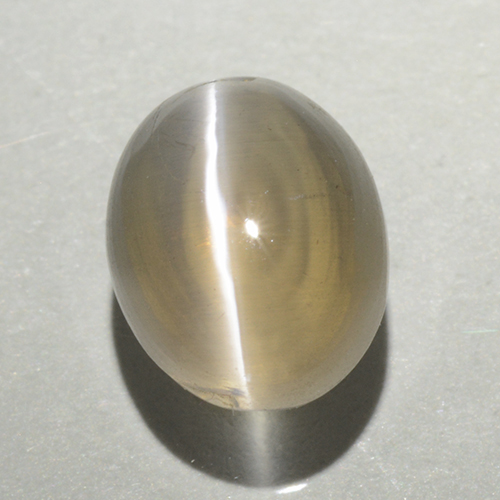 Light Yellow Brown Sillimanite Cat's Eye Gem - 1.6ct Oval Cabochon (ID: 499424)