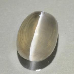 1.7ct Oval Cabochon Smoke Sillimanite Cat's Eye for sale thumb image of 1.7ct Oval Cabochon Smoke Sillimanite Cat's Eye (ID: 499427)