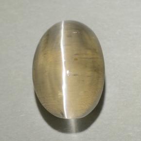 1.3ct Oval Cabochon Smoke Sillimanite Cat's Eye Gem for sale 1.3ct Oval Cabochon Smoke Sillimanite Cat's Eye Gem (ID: 499431)
