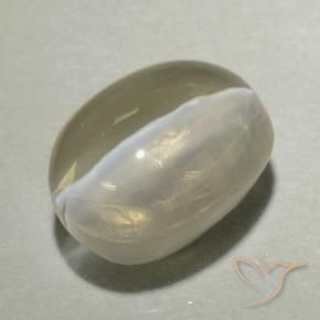 1.71 ct Yellow Sillimanite Cat's Eye Stone, Natural Sillimanite Cat's Eye in Oval Cabochon Shape for Sale