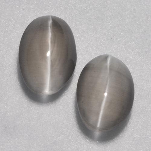 Very Light Grey Sillimanite Cat's Eye Gem - 1.1ct Oval Cabochon (ID: 499508)