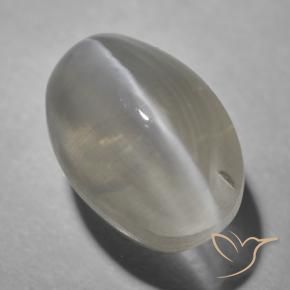 1.63 ct Gray Sillimanite Cat's Eye Stone, Natural Sillimanite Cat's Eye in Oval Cabochon Shape for Sale