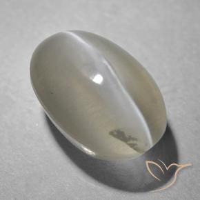 1.41 ct Gray Sillimanite Cat's Eye Stone, Natural Sillimanite Cat's Eye in Oval Cabochon Shape for Sale