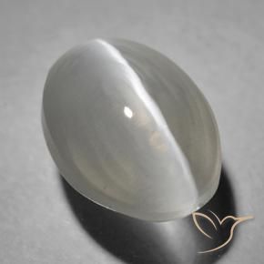 1.63 ct Gray Sillimanite Cat's Eye Stone, Natural Sillimanite Cat's Eye in Oval Cabochon Shape for Sale