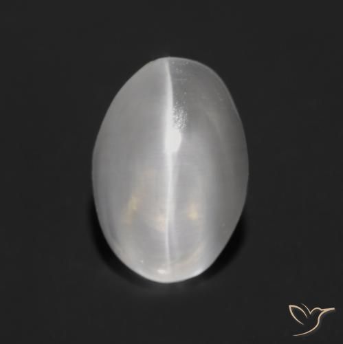 1.25ct Natural Very Light Grey Sillimanite Cat's Eye, Oval, Transparent