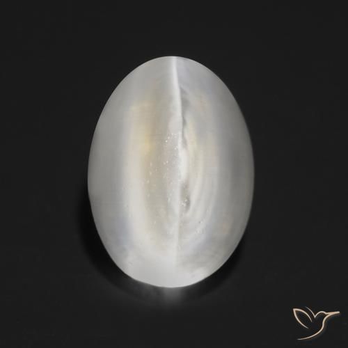 1.30 ct Gray Sillimanite Cat's Eye Stone, Natural Sillimanite Cat's Eye in Oval Cabochon Shape for Sale