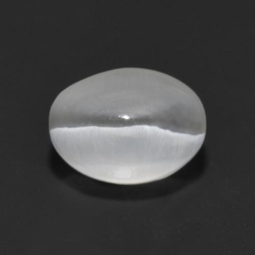 White Sillimanite Cat's Eye Gem - 1.6ct Oval Cabochon (ID: 551899)