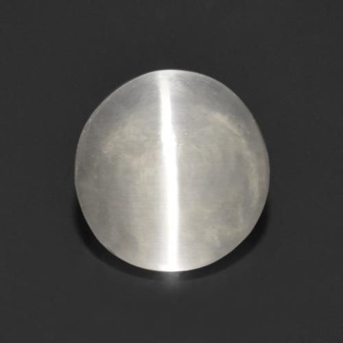 White Sillimanite Cat's Eye Gem - 1.5ct Round Cabochon (ID: 551902)
