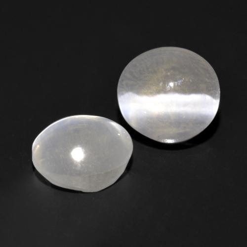 1.68 ctw Gray Sillimanite Cat's Eye Stones, Natural Sillimanite Cat's Eye in Round Cabochon Shape for Sale