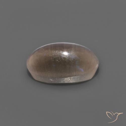Sillimanite Cat's Eye Gemstone in 7.4 x 4.4 mm Size for Sale, Sillimanite Cat's Eye Stone in Medium Brown Color