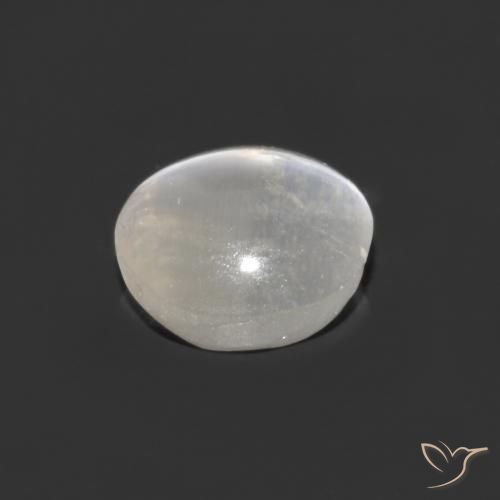 Sillimanite Cat's Eye Gemstone in 6.3 x 5.9 mm Size for Sale, Sillimanite Cat's Eye Stone in Clear White Color