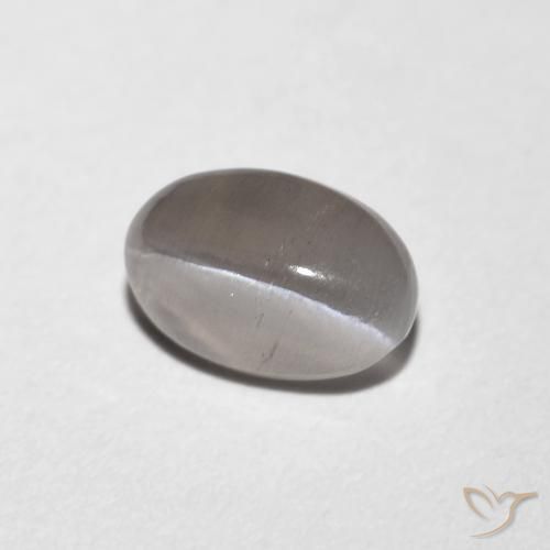 0.99 ct Gray Sillimanite Cat's Eye Stone, Natural Sillimanite Cat's Eye in Oval Cabochon Shape for Sale