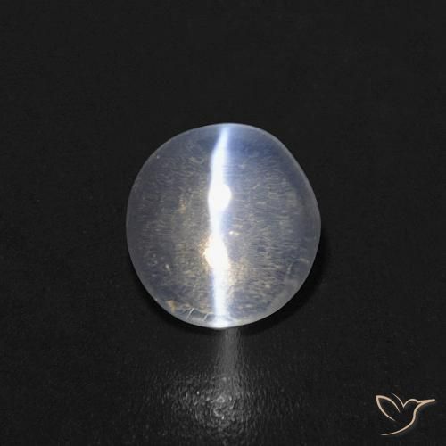 0.85ct Natural Clear Sillimanite Cat's Eye, Oval, Transparent