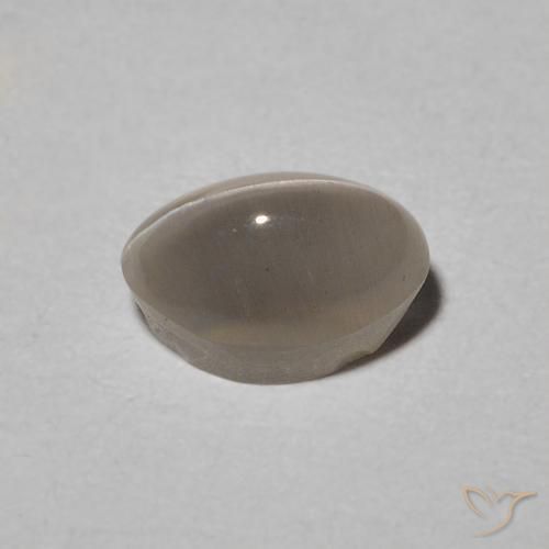 Sillimanite Cat's Eye Gemstone in 6.4 x 4.2 mm Size for Sale, Sillimanite Cat's Eye Stone in Warm Grey Color