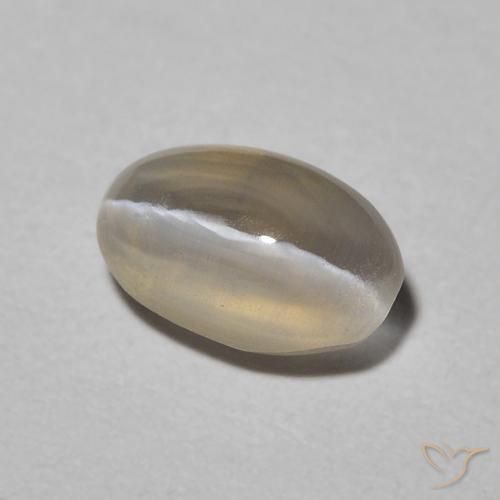 0.93 ct Gray Sillimanite Cat's Eye Stone, Natural Sillimanite Cat's Eye in Oval Cabochon Shape for Sale