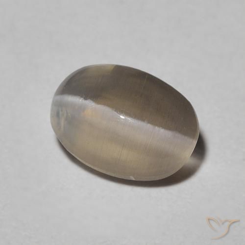 1.09 ct Gray Sillimanite Cat's Eye Stone, Natural Sillimanite Cat's Eye in Oval Cabochon Shape for Sale