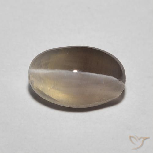 1.20ct Natural Espresso Brown Sillimanite Cat's Eye, Oval, Translucent