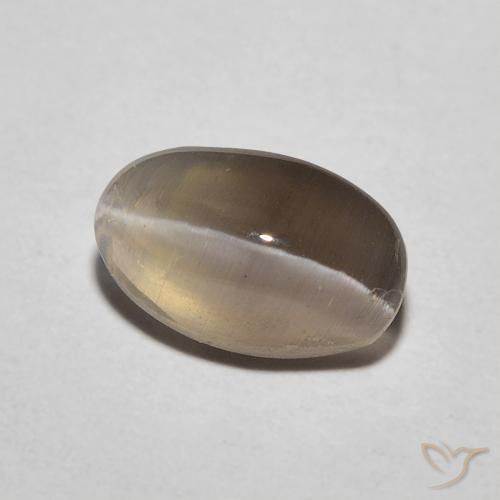 1.20 ct Brown Sillimanite Cat's Eye Stone, Natural Sillimanite Cat's Eye in Oval Cabochon Shape for Sale
