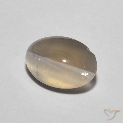 1.11 ct Brown Sillimanite Cat's Eye Stone, Natural Sillimanite Cat's Eye in Oval Cabochon Shape for Sale