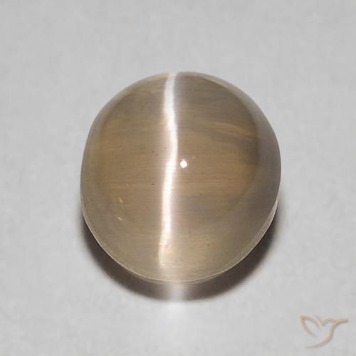 0.86 ct Oval Sillimanite Cat's Eye, 5.3 x 4.9 mm From Madagascar, Photo A