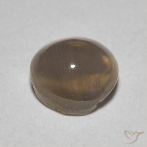 Sillimanite Cat's Eye Gemstone in 5.3 x 4.9 mm Size for Sale, Sillimanite Cat's Eye Stone in Medium Brown Color
