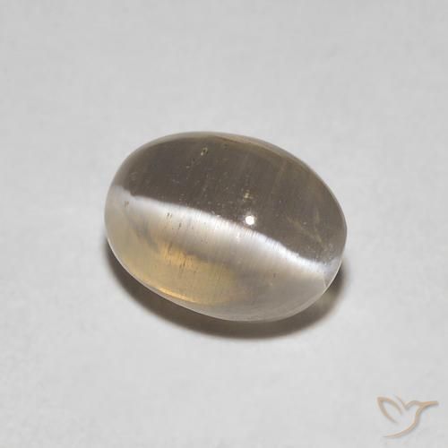 1.29 ct Brown Sillimanite Cat's Eye Stone, Natural Sillimanite Cat's Eye in Oval Cabochon Shape for Sale