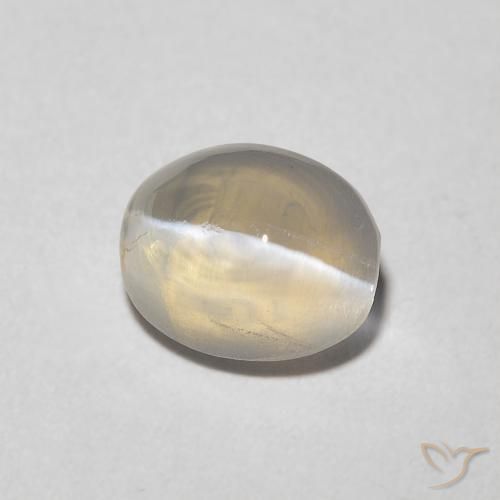 1.22 ct White Sillimanite Cat's Eye Stone, Natural Sillimanite Cat's Eye in Oval Cabochon Shape for Sale