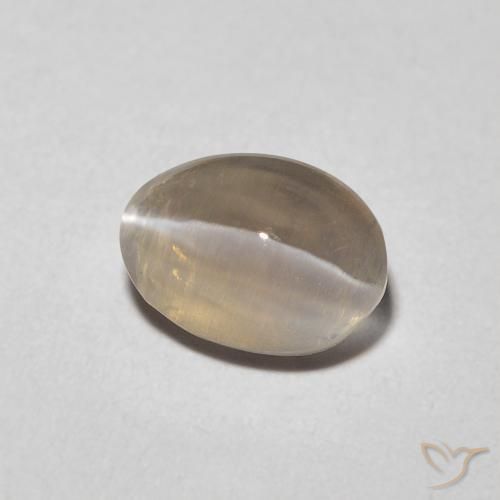 1.23 ct Brown Sillimanite Cat's Eye Stone, Natural Sillimanite Cat's Eye in Oval Cabochon Shape for Sale