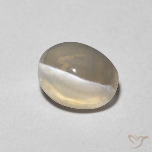 1.16 ct Gray Sillimanite Cat's Eye Stone, Natural Sillimanite Cat's Eye in Oval Cabochon Shape for Sale