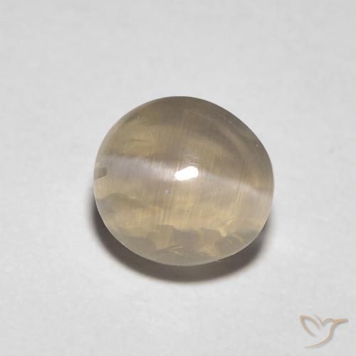 1.31 ct Brown Sillimanite Cat's Eye Stone, Natural Sillimanite Cat's Eye in Oval Cabochon Shape for Sale