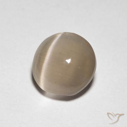 1.39 ct Brown Sillimanite Cat's Eye Stone, Natural Sillimanite Cat's Eye in Oval Cabochon Shape for Sale