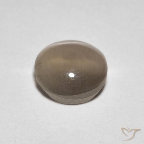 Sillimanite Cat's Eye Gemstone in 6.4 x 6.4 mm Size for Sale, Sillimanite Cat's Eye Stone in Warm Light Brown Color
