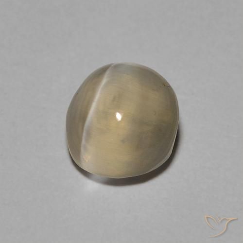1.22 ct Brown Sillimanite Cat's Eye Stone, Natural Sillimanite Cat's Eye in Oval Cabochon Shape for Sale