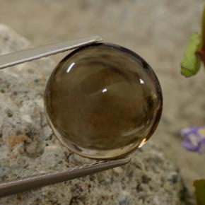 5.63 ct Brown Smoky Quartz Stone, Natural Smoky Quartz in Round Cabochon Shape for Sale