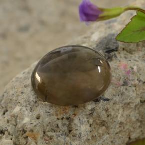Smoky Quartz Gemstone in 12 mm (calibrated) Size for Sale, Smoky Quartz Stone in Chocolate Brown  Color