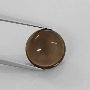 6.22 ct Brown Smoky Quartz Gemstone, Smoky Quartz Gem in Round Cabochon Shape for Sale.