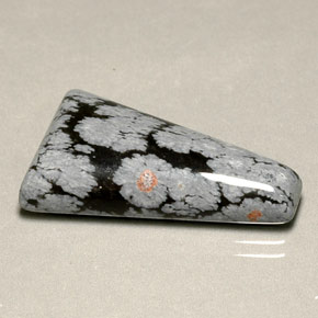 14.82 ct Multicolor Snowflake Obsidian Stone, Natural Snowflake Obsidian in Trapezoid Shape for Sale